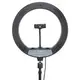 Держатель с кольцевым освещением Bluetooth 12" YQ-320b light set (Kit1)  |170cm Stand, USB Powered, 3000-6500K|