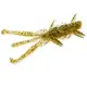 Силикон FishUp Shrimp 4.5" #074 Green Pumpkin Seed