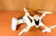 Квадрокоптер с HD камерой Intelligent Drone BF190 (белый) | Летающий дрон на дистанционном управлении PR5