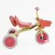 Детский велосипед 3-х колесный BS 363 BestTrike украинская озвучка. Pink and yellow (168747)