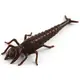 Силикон FishUp Diving Bug 2in/50мм/8шт/цвет 012 10001101