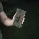 M-Tac подсумок для смартфона Elite Large Hex Ranger Green, подсумок тактический для телефона олива