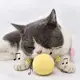 Интерактивная игрушка мячик для кошек со звуками птиц 5921 5 см желтая