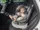 Автокресло Lionelo Bastiaan One 0-36kg Grey Graphite