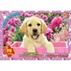 Пазлы G-Toys Домашние любимцы AN147 70 деталей