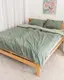 Постельное белье семейное Dushka Home Вареный хлопок 21080 160х215х2 см фисташковое с оливковым