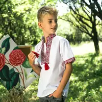 Вишиванка Moderika Остап короткий рукав з червоною вишивкою 116