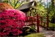 Фотообои текстурированные, виниловые Мосты, 250х380 см, fo01inV_br00042
