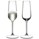 Набор бокалов для шампанского Riedel Grape 6424/08 250 мл 2 шт