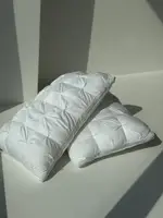 Подушка тісто з еко пуху Dushka Home 21816 50х70 см біла