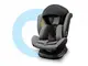 Автокресло Lionelo Bastiaan One 0-36kg Stone Black