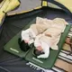 Матрас самонадувающийся 5 см Naturehike NH20DZ003, темно-зеленый