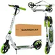 Самокат I-Trike SR2-018-11-WGR 89-103 см зеленый