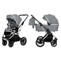 Коляска универсальная Carrello Aurora 2in1 CRL-6505
Silver Grey