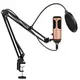 Студийный микрофон Music D.J. M900U USB со стойкой и поп-фильтром Bronze (7331)