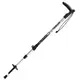 Палиці трекінгові Gabel Voyager FL AI 7008480200000