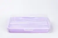 Поднос прямоугольный пластиковый для дома Фиолетовый