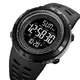 Часы наручные мужские SKMEI 2070BK BLACK. Цвет: черный