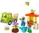 Конструктор LEGO DUPLO Town Уход за пчелами и ульями 22 детали (10419)
