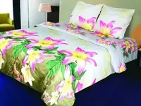 Постільна білизна полуторна ТЕП Restline Селін 2-02399-02231 215х150 см