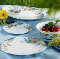 Столовый сервиз Luminarc Florine 22635 19 предметов
