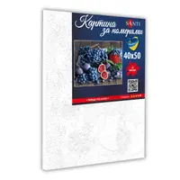 Картина за номерами Santi Інжир та виноград 954863 40х50 см