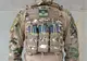 Плитоноска Pantsyr-2 (тактический военный жилет, бронежилет MOLLE) Multicam Arid