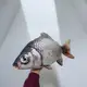 Игрушка мягконабивная "Рыба - Карась серебряный", 70 см