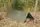 Тент Highlander Basha Shelter Olive (MA100-OG)