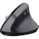 Мышь компьютерная безпроводная Trust Bayo Multidevice Ergonomic Wireless Black 25146_TRUST черная