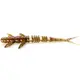 Flit 2" (9pcs.), #045 - Green Pumpkin/Red & Black