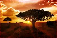 Фотошпалери текстуровані, вінілові Природа, 250х380 см, fo01inV_pr10918