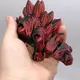 Игрушка подвижная 3D Динозавр 18 см, Стегозавр (Радужный)