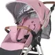 Коляска El Camino Gallant ME 1071-1 v.2 (mauve rose)