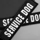Набор шевронов 4 шт с липучкой Service Dog для служебных собак, кинологов, кинологическая служба, нашивка патч