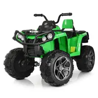 Детский электромобиль Квадроцикл Bambi Racer M 3999EBLR-5 до 35 кг