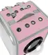 Рюкзак - переноска для кошек и собак 39х30х34 CosmoPet CP-28 Pink