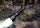 Фонарь ручной Fenix ​​HT32