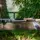Палки трекинговые Vipole Base Camp Cork DLX (S25 06)