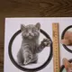Интерьерная наклейка CD Котята в рамке XH6229 60х40см