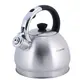 Чайник со свистком Kamille KM-0694BN 2 л
