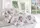 Турецкое Постельное Белье First Choice Cotton Duru Сатин