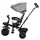 Триколісний дитячий велосипед Free2Move Sport, black - grey