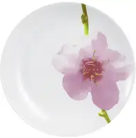 Сервіз столовий Luminarc Diwali Water Color Q3438 19 предметів