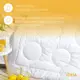 Одеяло зимнее Air Dream Exclusive двойное 175*210