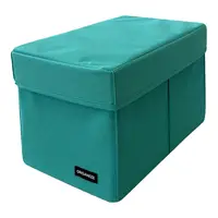 Ящик-органайзер ORGANIZE  для хранения вещей с крышкой  M - 30*19*19 см (лазурь)