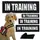 Набор шевронов 4 шт с липучкой In Training для служебных собак, кинологов, кинологическая служба нашивка патч