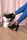 Ботильоны женские Fashion Catu 2645 40 размер 25,5 см Черный