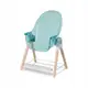 Стульчик для кормления 2в1 Lionelo Maya Green Turquoise