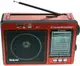 Радиоприемник GOLON QR-006REC PR4